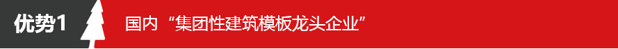 五棵松牌清水模板 小板 01